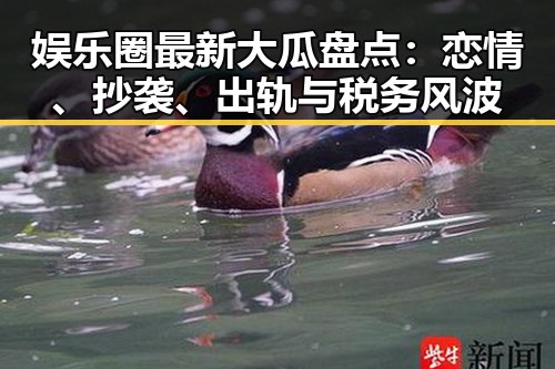 娱乐圈最新大瓜盘点：恋情、抄袭、出轨与税务风波