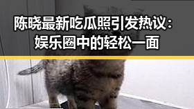陈晓最新吃瓜照引发热议：娱乐圈中的轻松一面