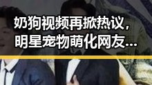 奶狗视频再掀热议，明星宠物萌化网友心，流浪动物关注度飙升
